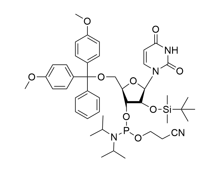 5'-DMT-2'-TBDMS-rU Phosphoramidite